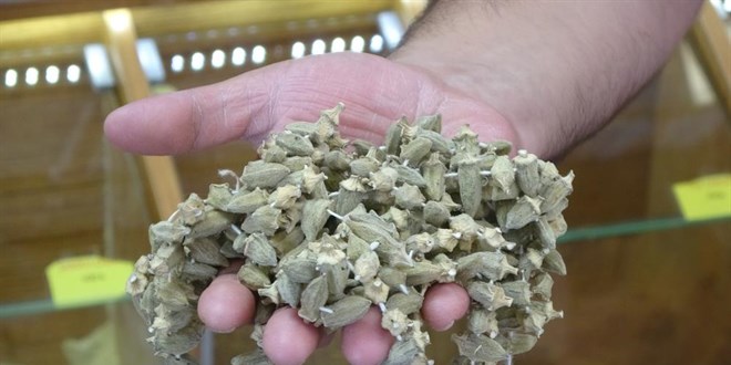 Gram altınla yarışıyor