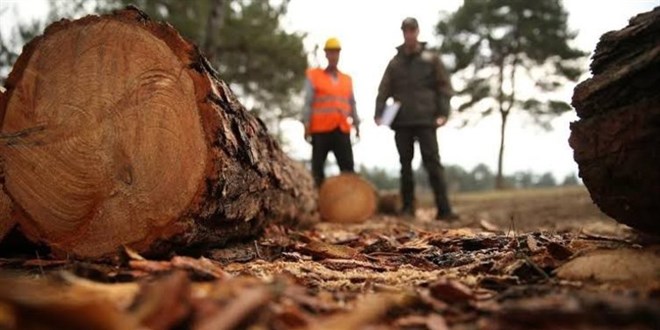 Yaptıkları ‘Cami tadilatı’ değilmiş