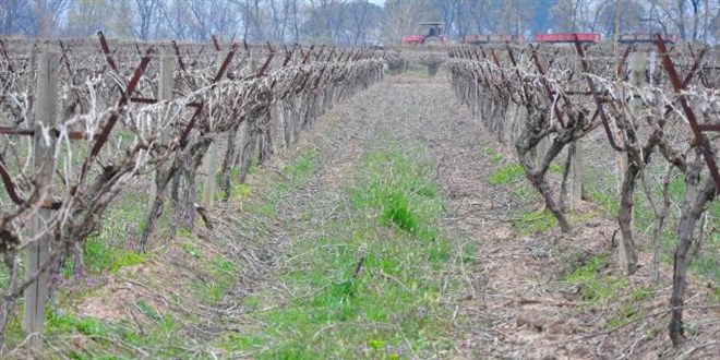 DİKKAT! Meteoroloji’den don uyarısı geldi