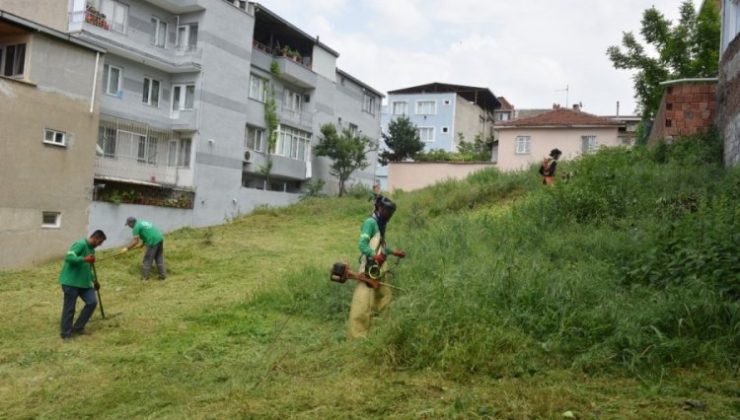 Bursa Yıldırım’da yabani ot temizliği yapıldı