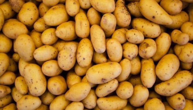 Nisan ayında en çok patatesin fiyatı arttı