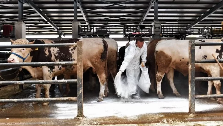Kurban pazarlarında sinekle mücadele