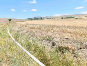 90 bin dekarlık arazi sulu tarıma kavuştu