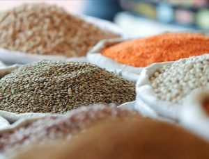 Akdeniz, hububat ve bakliyat ihracatına destek verdi