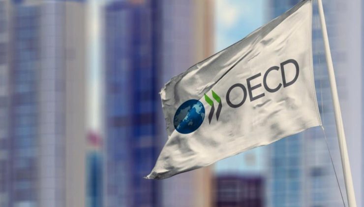 OECD’den Türkiye’nin büyümesi için yeni tahmin