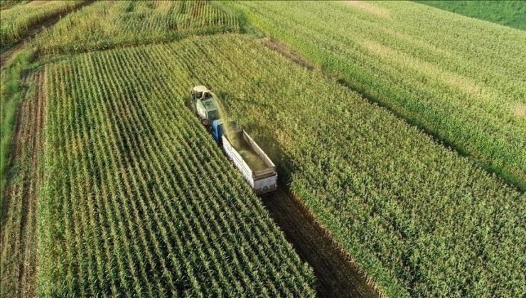 Tarımsal destekleme ödemeleri ne zaman yatacak?