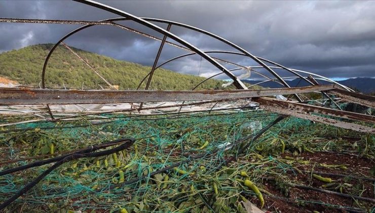 TARSİM doğal afetlerden etkilenen çiftçilere kalkan oluyor