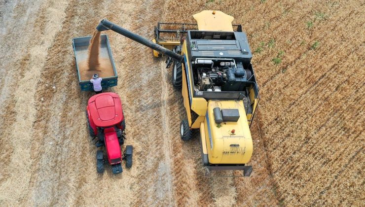 Türkiye’nin buğday üretimi 21,5 milyon tona ulaştı