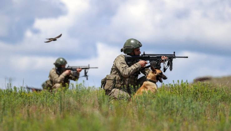 Yasa dışı yollarla ülke geçmeye çalışan 12 kişi yakalandı