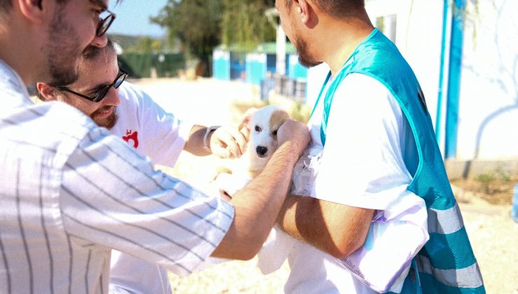 10 patili dostun sahiplenilmesine aracılık ettiler!