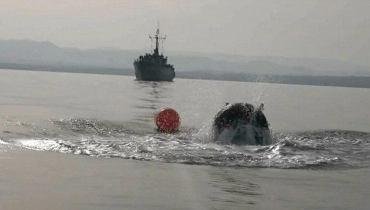 Türk bayraklı gemi Karadeniz’de mayına çarptı