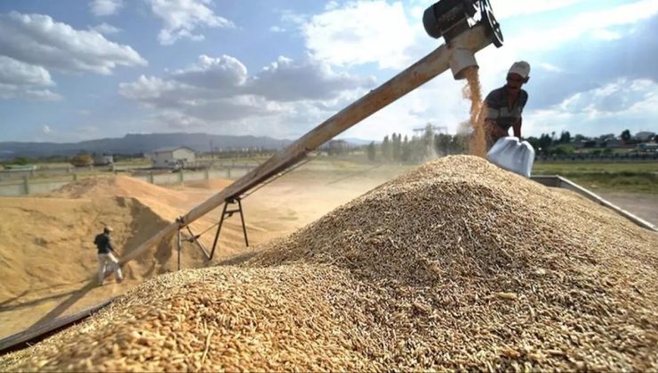 Küresel gıda fiyatları geriledi