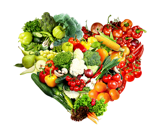 Evrensel İnsani Yardım Federasyonu’ndan Tarım ve Hayvancılığa Stratejik Destek Çağrısı