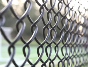 Kestel’de Piknik Alanı Kapalı: Vatandaşlar Tepkili, Sokak Hayvanları Mağdur