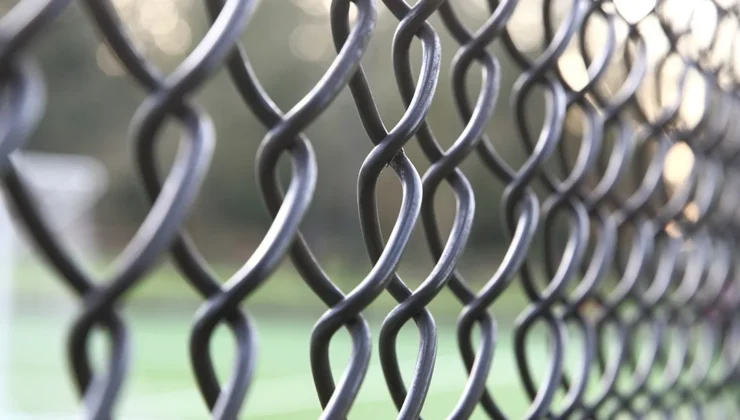 Kestel’de Piknik Alanı Kapalı: Vatandaşlar Tepkili, Sokak Hayvanları Mağdur