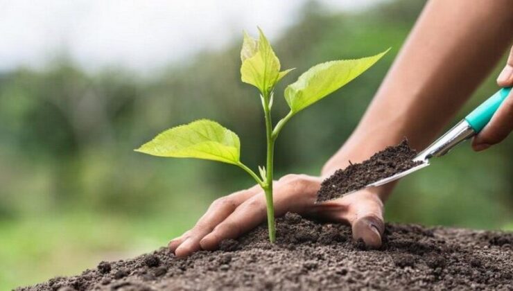 Öğrencilerden Yeşil Vatan’a Anlamlı Katkı