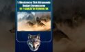 I. Uluslararası Türk Dünyasında Bozkurt Sempozyumu Başlıyor: 51 Bildiri, 51 Akademisyen