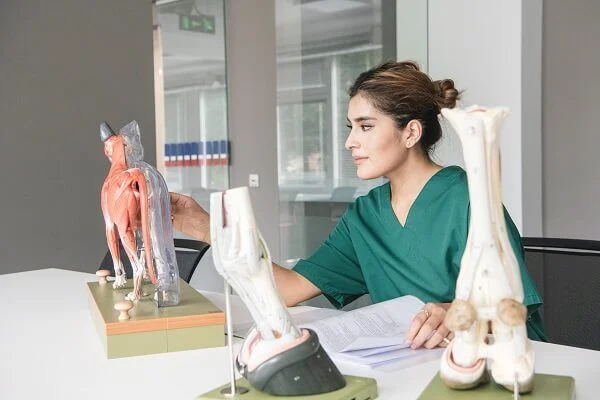 “Veteriner Fakültelerinde Kalite İçin Başarı Sırası Şartı Getirilmeli”